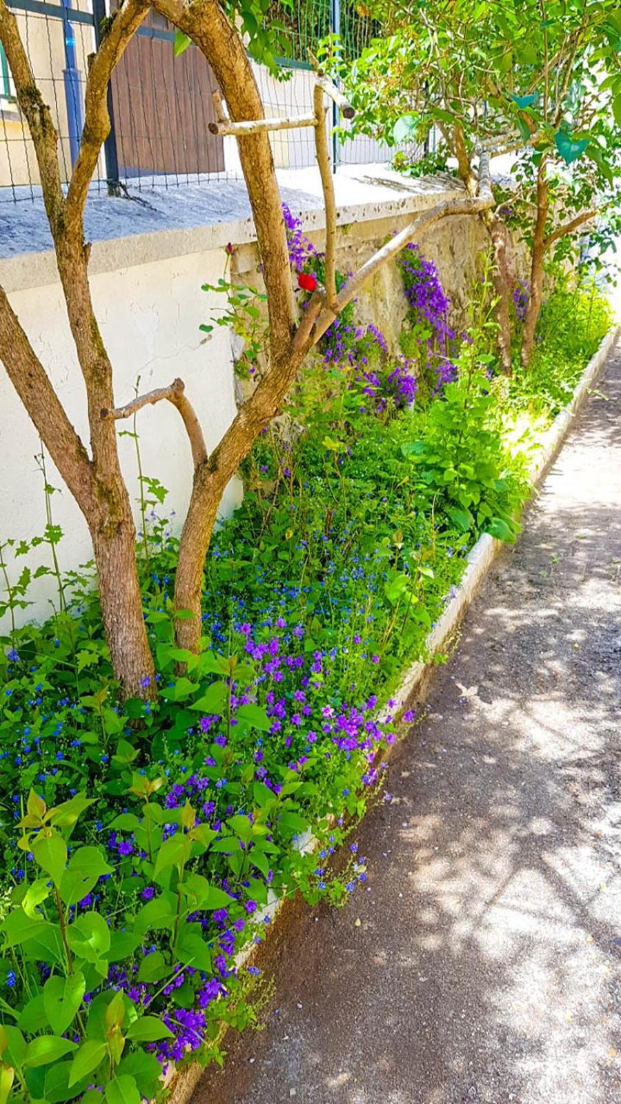 Villa Reiala Σαβίλ Εξωτερικό φωτογραφία